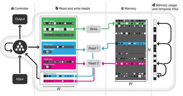 Differentiable neural computer